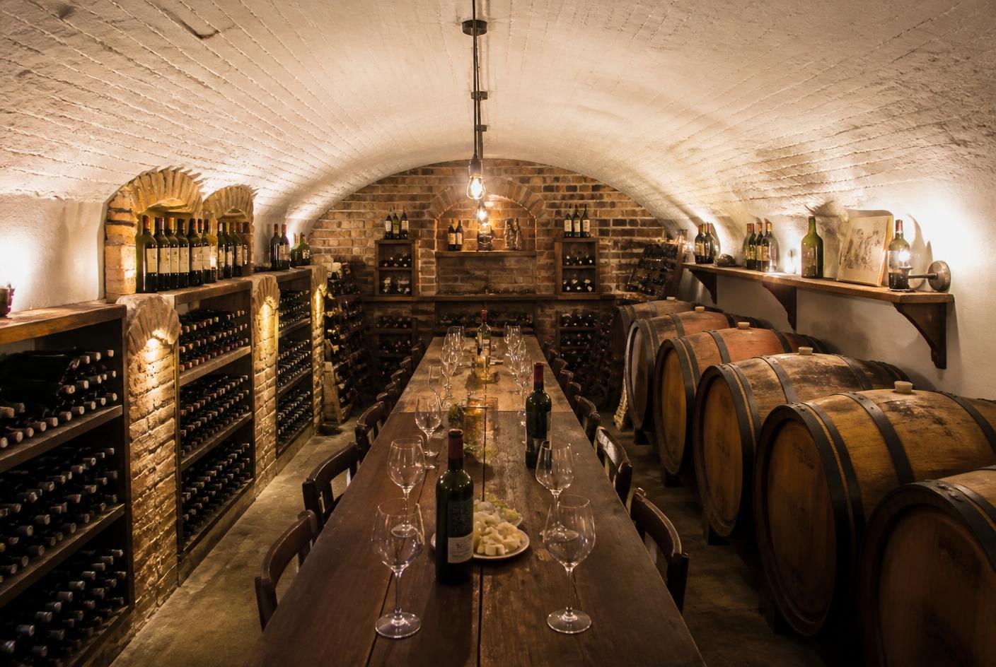 Warmly lit vaulted wine cellar with bottles and oak barrels